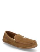 Polo Ralph Lauren Suede-Brenan-Ds-Slp Brun