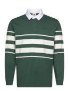 LEVI´S Men Union Rugby Carter Stripe Bist Grön