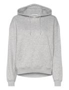 Weekday Essence Standard Hoodie Grå