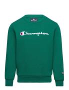 Champion Crewneck Sweatshirt Grön