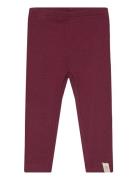 Petit Piao Legging Modal Burgundy