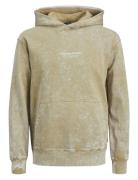 Jack & J S Jorvesterbro Wash Sweat Hood Aw Jnr Beige