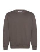 Weekday Standard Midweight Sweatshirt Brun