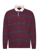 Abercrombie & Fitch Anf Mens Knits Burgundy