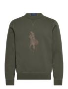 Polo Ralph Lauren 30/1 Double Knt Cvc-Lsl-Sws Grön