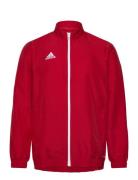 Adidas Performance Ent22 Pre Jkt Röd