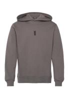 HAN Kjøbenhavn Regular Fit Hoodie Grå