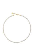Edblad Lilian Necklace Multi M Gold Guld