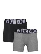 Calvin Klein 2Pk Boxer Brief Multi/patterned