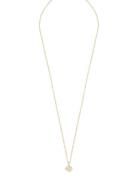 SNÖ Of Sweden Sevilla Pendant Neck 42 G/Clear Guld