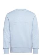 GANT Reg Tonal Shield Cneck Sweat Blå