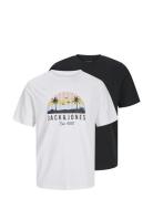 Jack & J S Jjpalm Tee Ss Crew Neck 2Pk Mp Svart