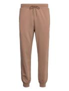 Converse Star Chev Emb Pant Ft Mushroom Forage Brun