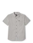Brixton Charter Print S/S Wvn Kräm