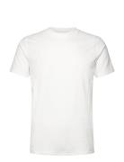 Lindbergh Ss Tee Terry Vit