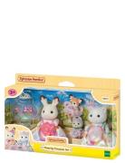 Sylvanian Families Flowering Princesses Set Multi/patterned