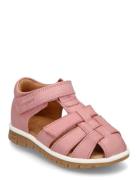 Bisgaard Bisgaard Angus Rosa