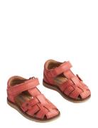 Wheat Sandal Sky Flower Korall