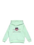 GANT Archive Shield Raglan Hoodie Grön