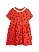Mini Rodini Dots Aop Lace Ss Dress Röd