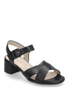 Gabor Ankle-Strap Sandal Svart