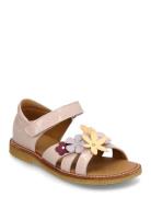ANGULUS Sandals - Flat - Open Toe - Clo Rosa