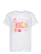 Converse Te-S/S Tee Vit