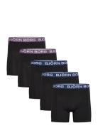Björn Borg Cotton Stretch Boxer 7P Svart