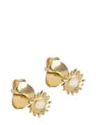 Enamel Copenhagen Mini Sunshine Studs Guld