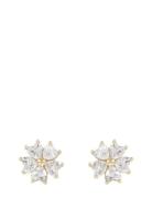SNÖ Of Sweden Nisi Flower Ear Guld