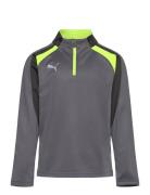 PUMA Individualliga 1/4 Zip Top Jr Grå