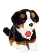 Teddy Hermann Sitting Bernese Mountain Dog 21 Cm Multi/patterned