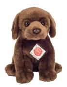 Teddy Hermann Sitting Labrador Dark Brown 25 Cm Brun