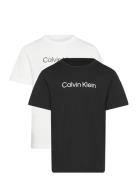 Calvin Klein Institutional 2-Pack T-Shirt Multi/patterned