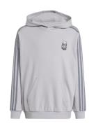 Adidas Originals Hoodie Grå