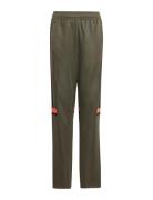 Adidas Performance Sq25 Tr Pnt Y Khaki Green