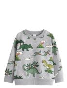 Lindex Sweatshirt Dino Aop Grå