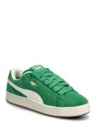 PUMA Suede Xl Grön