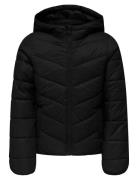 Kids Only Kogkajsa Light Quilt Hood Jkt Otw Noos Svart