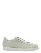 Selected Slhevan Suede Sneaker Kräm
