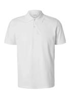 Selected Slhslim-Atlas Ss Polo Vit