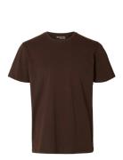 Selected Slhaspen Ss O-Neck Tee Noos Brun
