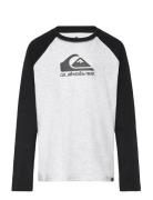 Quiksilver Ev Omni Logo Raglan Ls Yth Grå