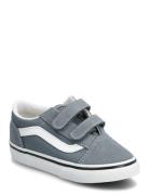 VANS Old Skool V Grå