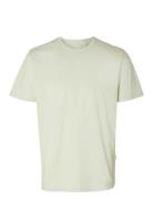 Selected Slhaspen Mini Str Ss O-Neck Tee Noos Kräm