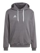 Adidas Performance Ent22 Hoody Grå