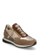 Gabor Sneaker Beige