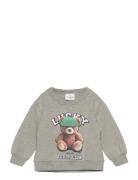 The New Tnstpippin Os Sweatshirt Grå
