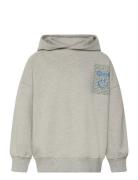 The New Tnpatrick Os Melange Hoodie Grå