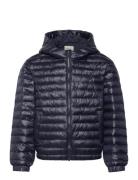 GANT Shiny Light Padded Jacket Marinblå
